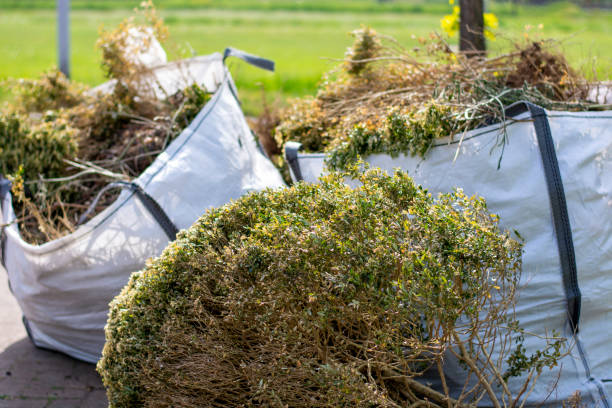 Best Hoarding Cleanup  in Normandy, MO